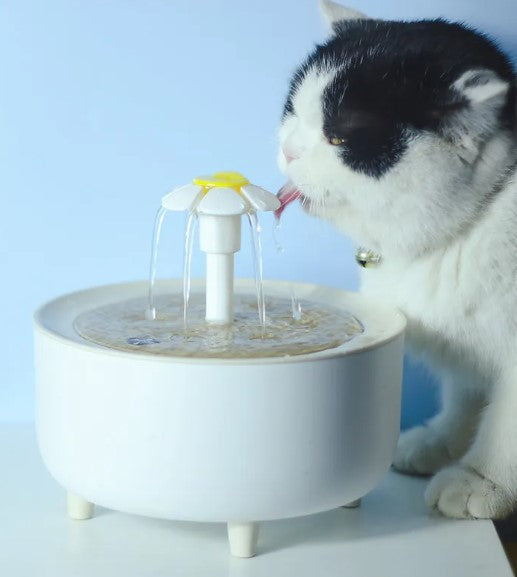 Fuente de Agua para Mascotas
