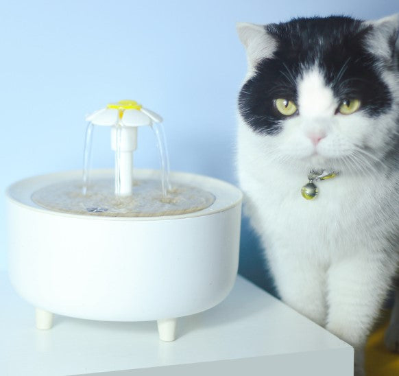 Fuente de Agua para Mascotas